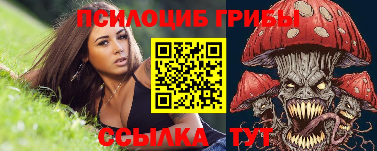 Галлюциногенные грибы мухоморы Владивосток