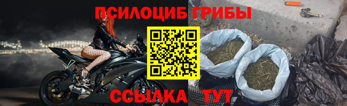 Галлюциногенные грибы GOLDEN TEACHER  Вход с VPN  Владивосток  Галлюциногенные грибы MAGIC MUSHROOMS 