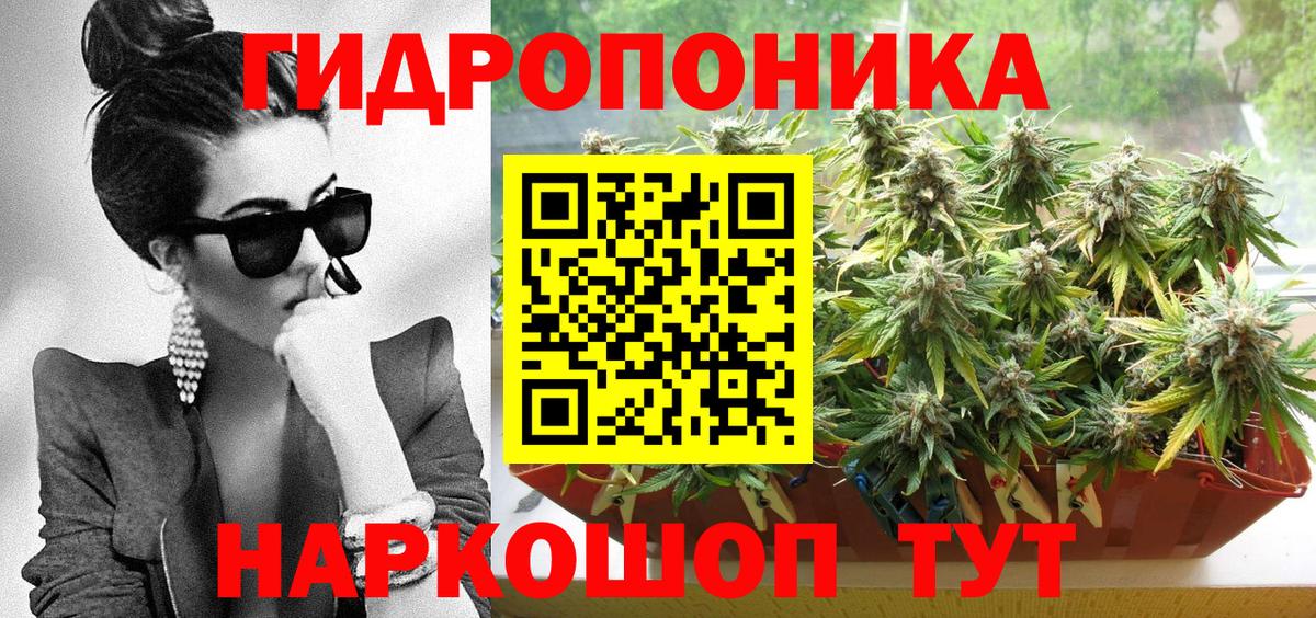 Владивосток  Конопля сатива  Вход с VPN  Бошки Шишки Ganja  Канабис Bruce Banner 
